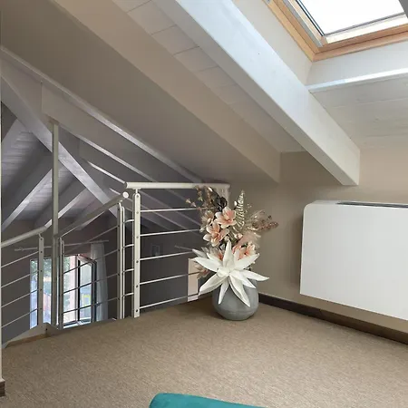 Apartment Attico 800